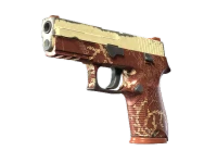 Open Statue Case - Get Top CS2 (CS:GO) Statue skins on r1-skins.com